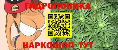 мдма Кимры